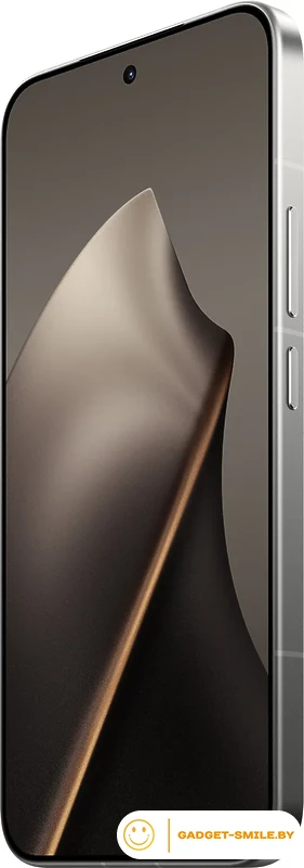 Телефон Xiaomi 15T Pro 12GB/256GB международная версия (серый)