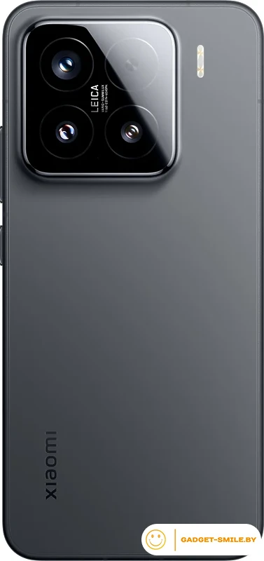 Смартфон Xiaomi 15 12GB/256GB международная версия (черный)