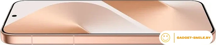 Huawei Pura 80 HED-LX9 12GB/256GB Золотой