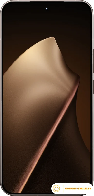 Телефон Xiaomi 15T Pro 12GB/256GB международная версия (золотистый мокко)