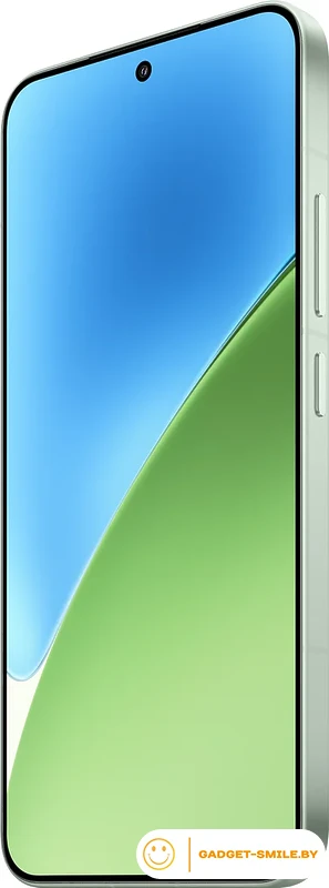 Смартфон Xiaomi 15 12GB/512GB международная версия (зеленый)