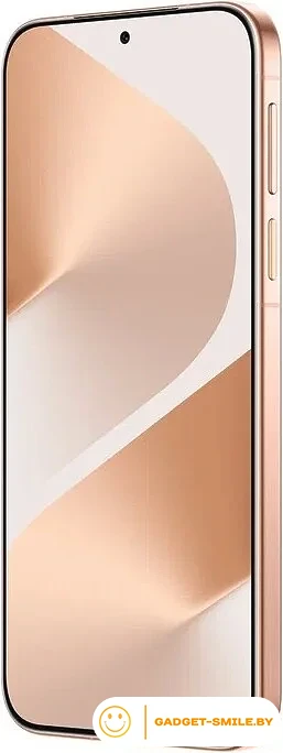 Huawei Pura 80 HED-LX9 12GB/256GB Золотой