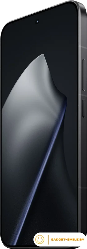 Телефон Xiaomi 15T Pro 12GB/256GB международная версия (черный)