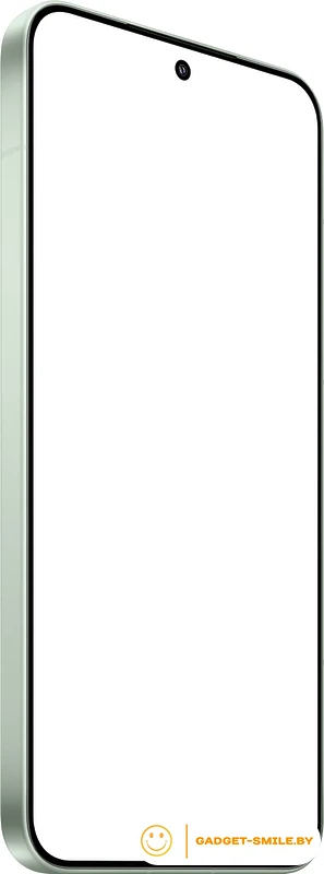 Смартфон Xiaomi 15 12GB/512GB международная версия (зеленый)