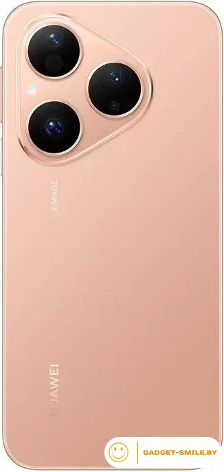 Huawei Pura 80 HED-LX9 12GB/256GB Золотой