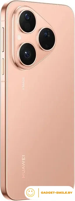 Huawei Pura 80 HED-LX9 12GB/256GB Золотой