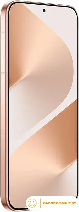 Huawei Pura 80 HED-LX9 12GB/256GB Золотой