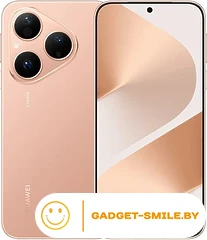 Huawei Pura 80 HED-LX9 12GB/256GB Золотой