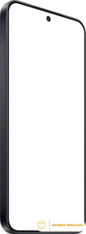 Смартфон Xiaomi 15 12GB/256GB международная версия (черный)