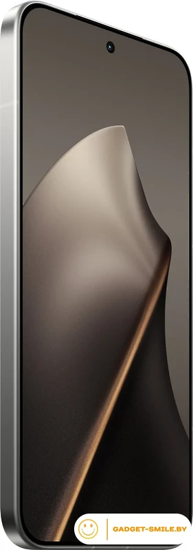 Телефон Xiaomi 15T Pro 12GB/256GB международная версия (серый)