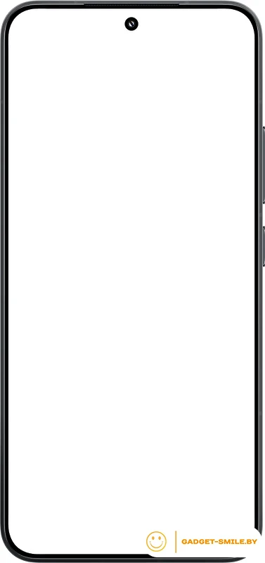 Смартфон Xiaomi 15 12GB/256GB международная версия (черный)