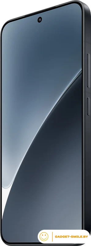 Смартфон Xiaomi 15 12GB/256GB международная версия (черный)