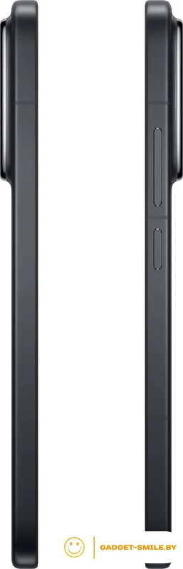 Смартфон Xiaomi 15 12GB/256GB международная версия (черный)