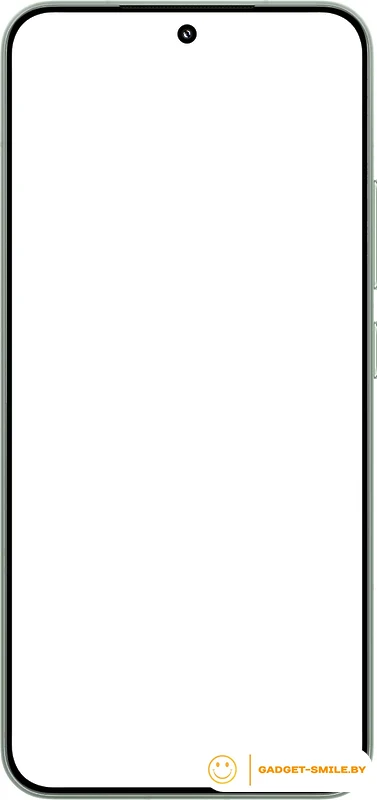 Смартфон Xiaomi 15 12GB/512GB международная версия (зеленый)