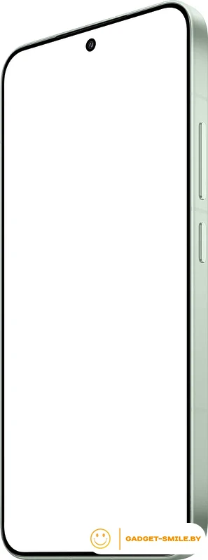 Смартфон Xiaomi 15 12GB/512GB международная версия (зеленый)