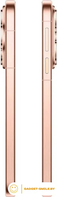 Huawei Pura 80 HED-LX9 12GB/256GB Золотой