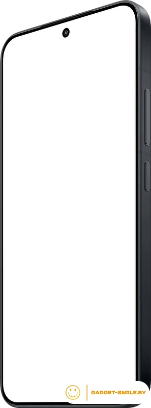 Смартфон Xiaomi 15 12GB/256GB международная версия (черный)