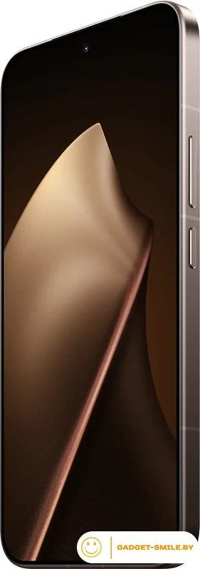 Телефон Xiaomi 15T Pro 12GB/256GB международная версия (золотистый мокко)