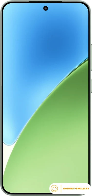 Смартфон Xiaomi 15 12GB/512GB международная версия (зеленый)