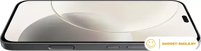 Смартфон HONOR 400 Lite 12GB/256GB международная версия (вельветовый черный)