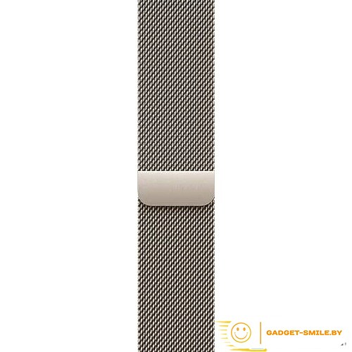 Apple Watch Series 10 GPS + Cellular 42mm Natural Titanium Case with Natural Milanese Loop (MWXF3)