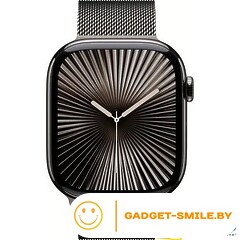 Apple Watch Series 10 GPS + Cellular 46mm Slate Titanium Case with Slate Milanese Loop - M/L (MWYW3)