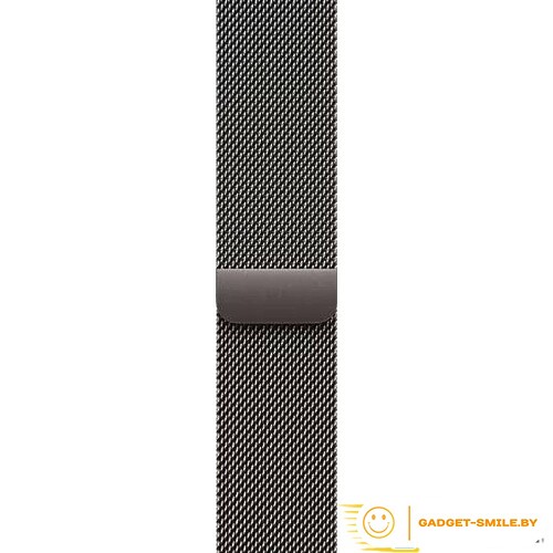 Apple Watch Series 10 GPS + Cellular 46mm Slate Titanium Case with Slate Milanese Loop - S/M (MC7R4)