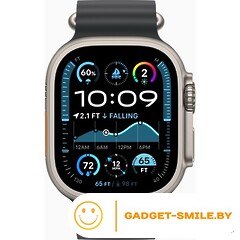 Apple Watch Ultra 2 2024 GPS + Cellular 49mm Natural Titanium Case with Black Ocean Band (MXTL3)