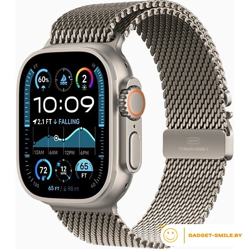 Apple Watch Ultra 2 2024 GPS + Cellular 49mm Natural Titanium Case with Natural Titanium Milanese Loop - L (MX5T3)