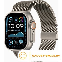 Apple Watch Ultra 2 2024 GPS + Cellular 49mm Natural Titanium Case with Natural Titanium Milanese Loop - S (MX4M3)