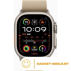 Apple Watch Ultra 2 2024 GPS + Cellular 49mm Natural Titanium Case with Tan Alpine Loop - M (MX4F3)