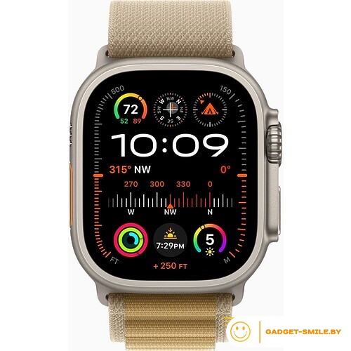 Apple Watch Ultra 2 2024 GPS + Cellular 49mm Natural Titanium Case with Tan Alpine Loop - M (MX4F3)
