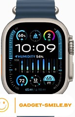 Apple Watch Ultra 2 GPS + Cellular 49мм Titanium Case with Blue Ocean Band (One Size)