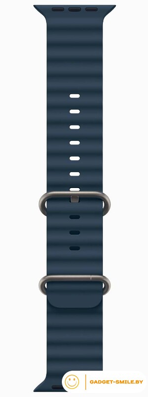 Apple Watch Ultra 2 GPS + Cellular 49мм Titanium Case with Blue Ocean Band (One Size)