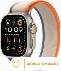 Apple Watch Ultra 2 GPS + Cellular 49мм Titanium Case with Orange/Beige Trail Loop