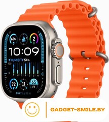 Apple Watch Ultra 2 GPS + Cellular 49мм Titanium Case with Orange Ocean Band (One Size)