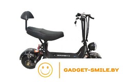 MINIPRO C2 800W 16Ah 48V