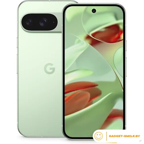 Google Pixel 9 12GB/256GB Винтергрин