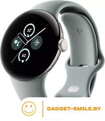 Google Pixel Watch 2 LTE (золотистый шампань/лесной орех)