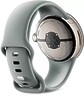 Google Pixel Watch 2 LTE (золотистый шампань/лесной орех)