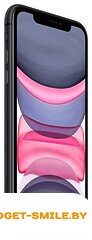 Apple iPhone 11 64GB Черный