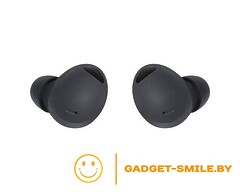 Наушники Samsung Galaxy Buds 2 Pro Графитовый