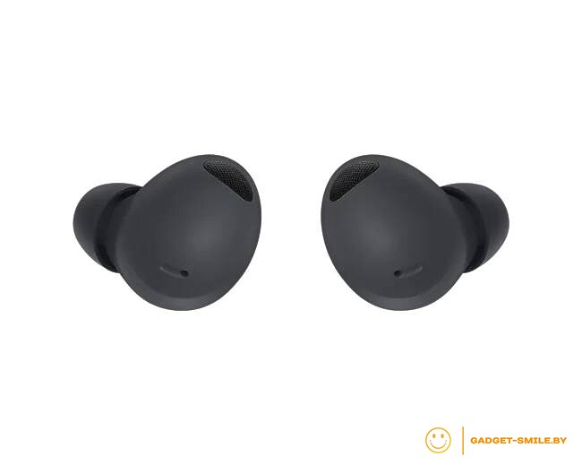 Наушники Samsung Galaxy Buds 2 Pro Графитовый