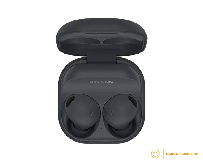 Наушники Samsung Galaxy Buds 2 Pro Графитовый