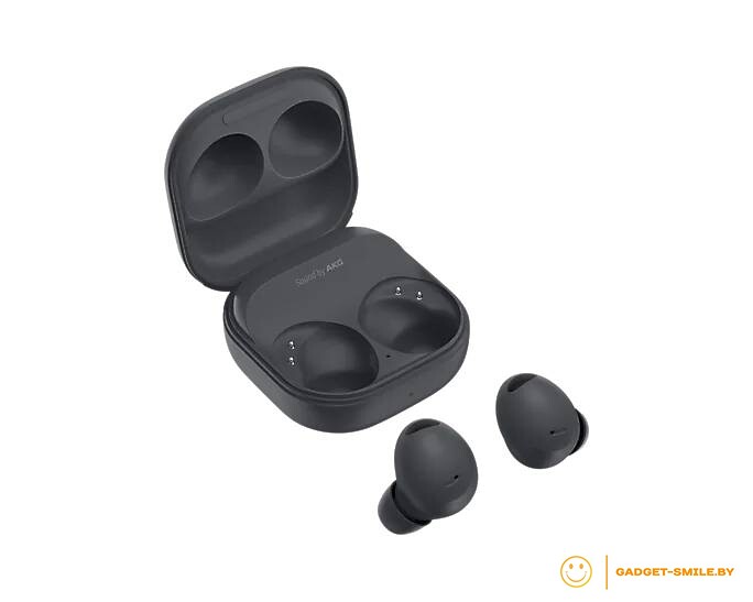 Наушники Samsung Galaxy Buds 2 Pro Графитовый