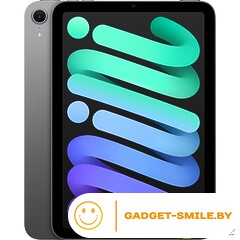 Планшет Apple iPad Mini 7 5G 256GB Серый космос (MXPN3)