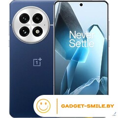 OnePlus 13 12GB/256GB Синий