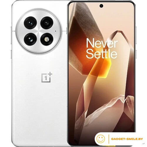 OnePlus 13 16GB/512GB Белый