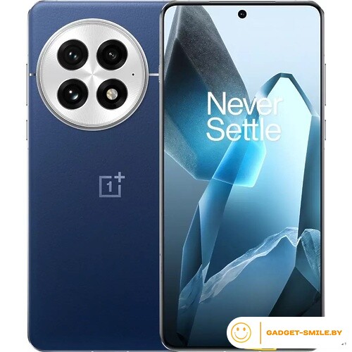 OnePlus 13 24GB/1TB Синий