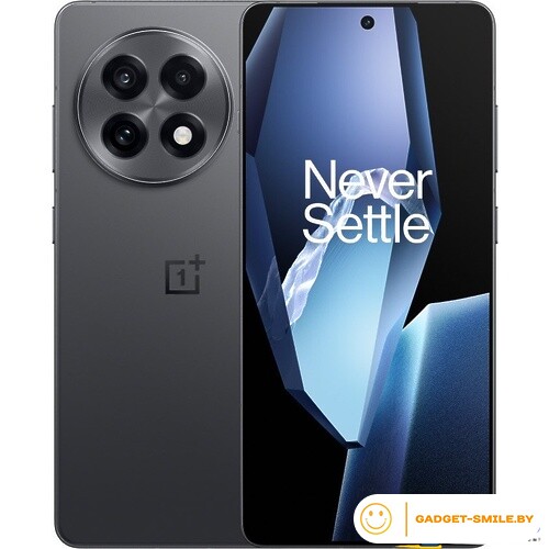 OnePlus 13R 16GB/512GB Черный (Nebula Noir)